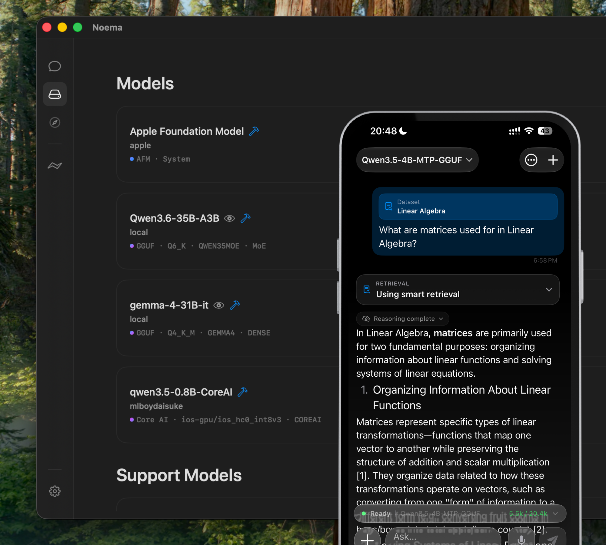 Noema Interface