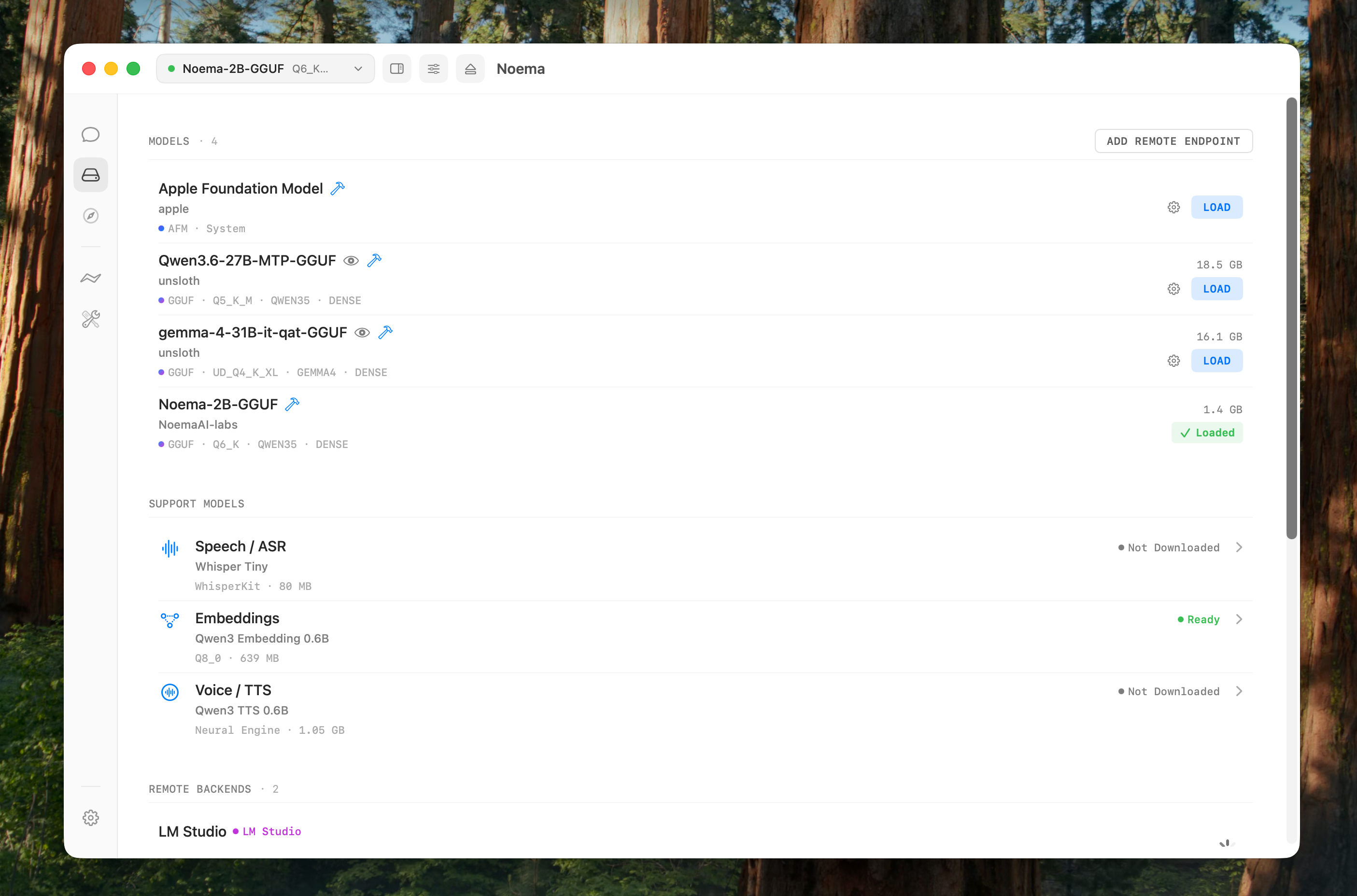 Noema model library showing local and support models on Mac and iPhone